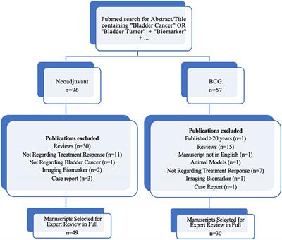 Identifying novel biomarkers associated with bladder cancer treatment outcomes